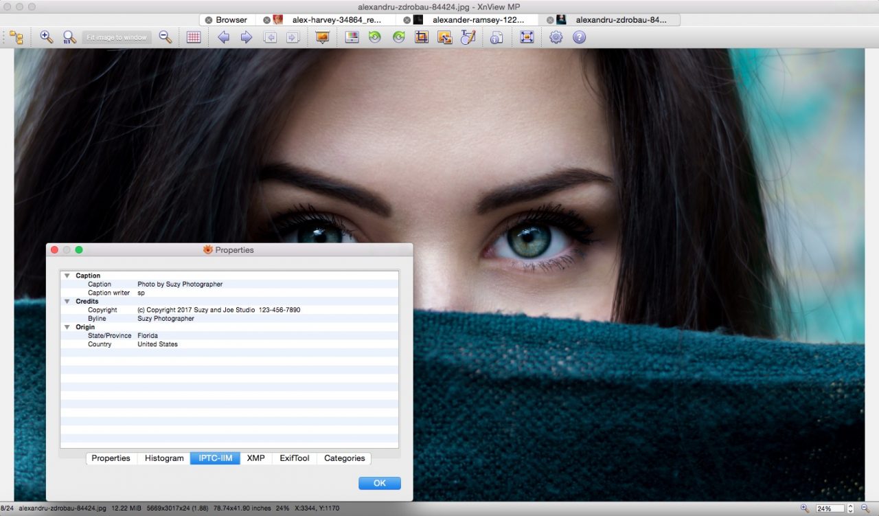 XnView is a powerful photo browser