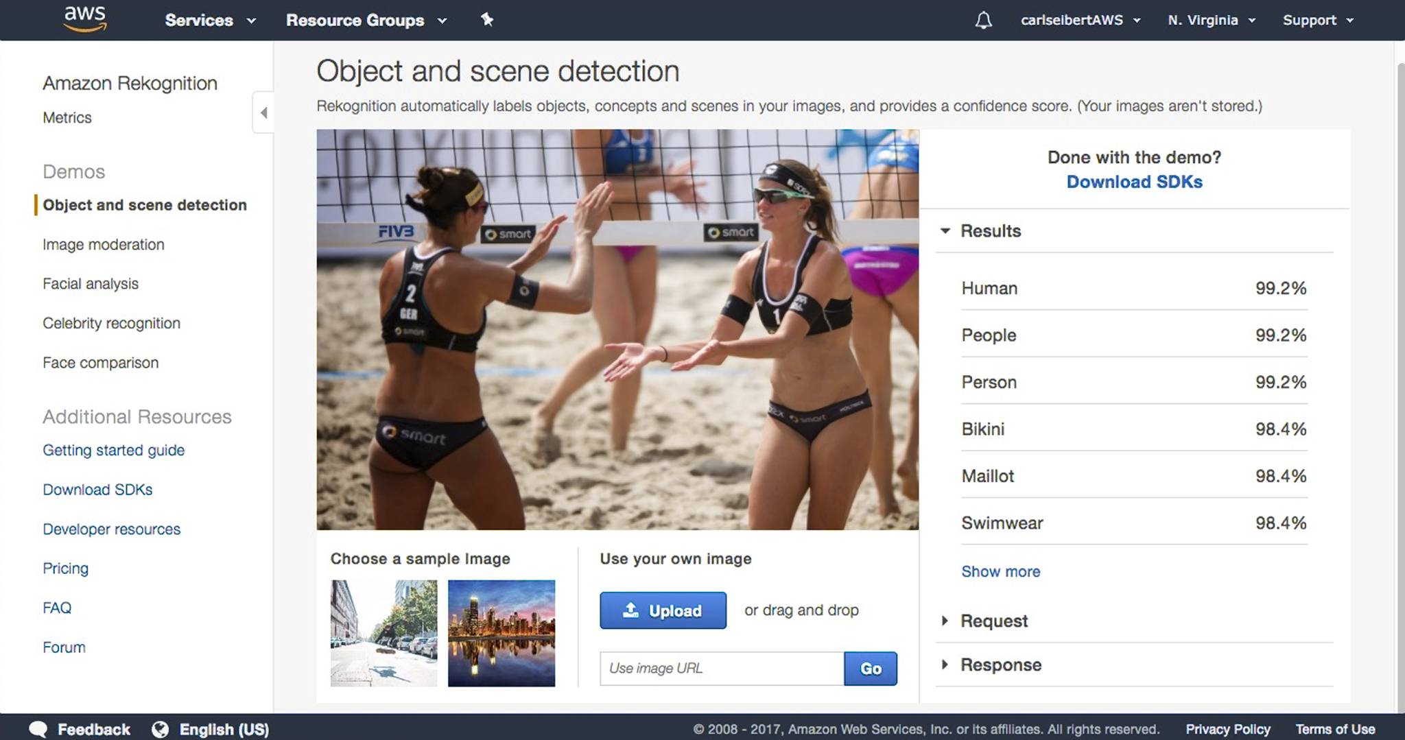 Amazon's Rekognition AI image recognition did reasonably well on this picture.