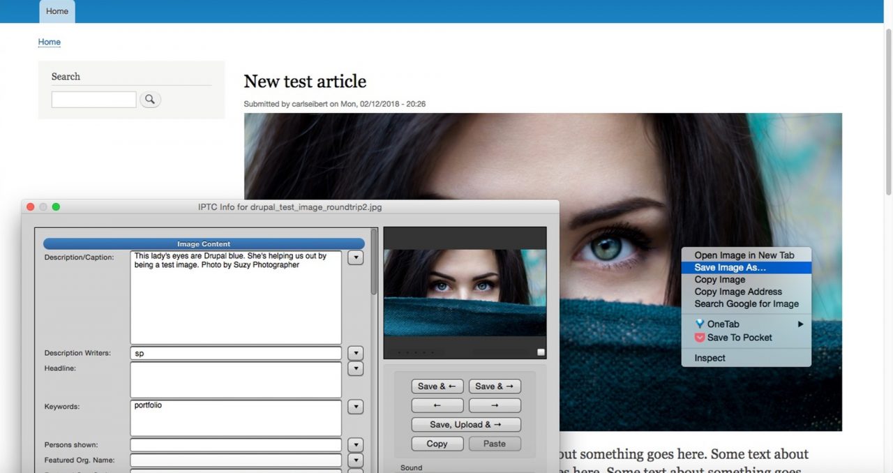 Screenshot of Drupal site with image