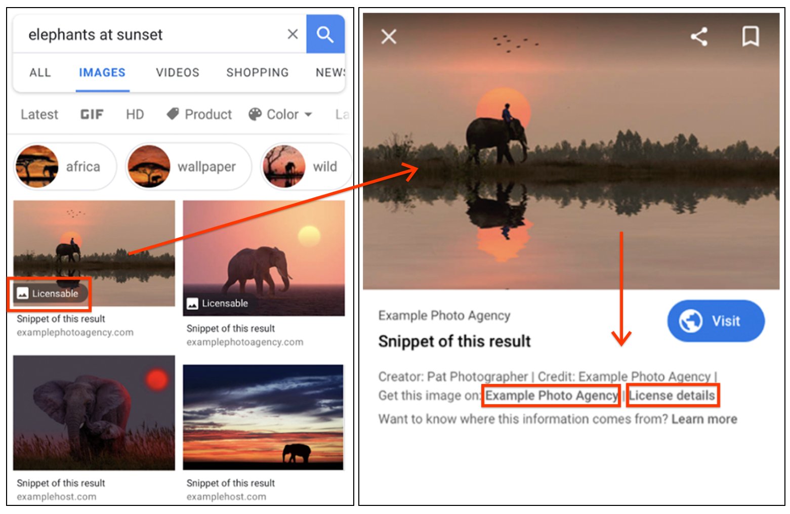 Google Images to add more metadata support - CARL SEIBERT SOLUTIONS