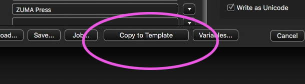 The "Copy to template" button in Photo Mechanic's IPTC editor.
