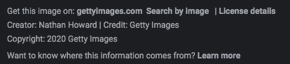 Licensable fields on the Google Images preview page for a Getty Images news photo